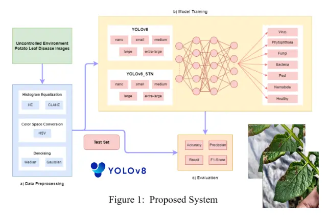 YOLOv8 STN detection preview